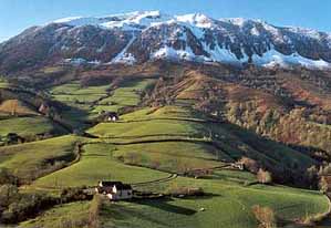 Entre vall�es d'Aspe et de Bar�tous